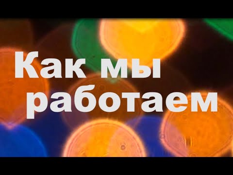 Видео: Как мы работаем (ли)