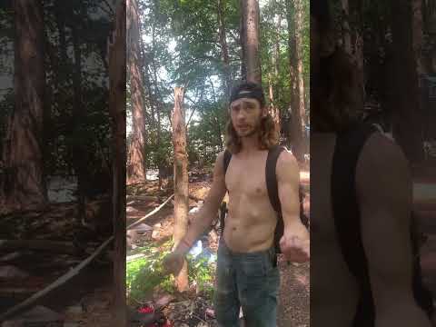 Видео: БЕЗДОМНЫЕ ПОЛНОСТЬЮ УНИЧТОЖАЮТ ИМУЩЕСТВО ЭТИХ ЛЮДЕЙ