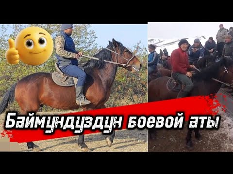 Видео: Баймундуздан