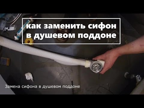 Видео: Слив перелив. Как поменять сифон в душевой кабине | МатвеевAV