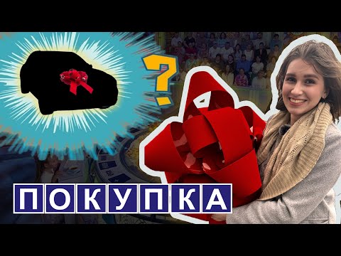 Видео: ПЕРВЫЙ АВТОКРЕДИТ В США: ВСЯ ПРАВДА БЕЗ ЦЕНЗУРЫ! 💰🚗