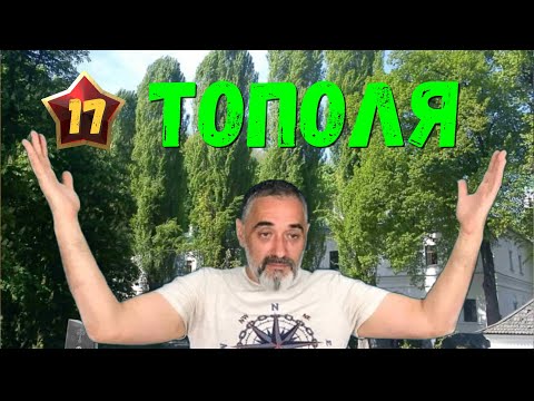 Видео: Тополя/Акулы из стали. Второй сезон / Читает Эдуард Овечкин