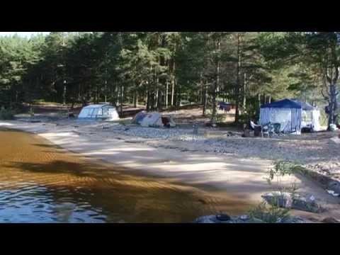 Видео: Онежские петроглифы