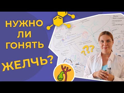 Видео: Нужно ли гонять желчь?