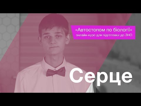 Видео: Серце – Підготовка до ЗНО – Біологія