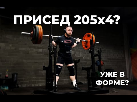 Видео: ПРИСЕД 205x4 в 83 категорий? "ПОДГОТОВКА К ВОЛЖСКОЙ БИТВЕ"