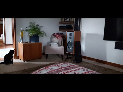 Видео: 3-сторонняя сборка с использованием шкафов Spendor — Часть 4