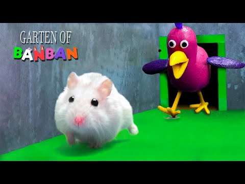 Видео: Если бы мой хомяк был в GARTEN OF BANBAN - хомяк сбегает из лабиринта с ловушками