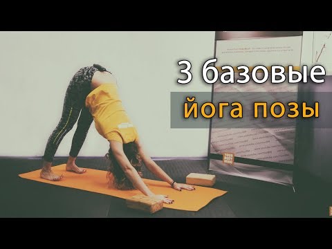 Видео: Как делать йога асаны правильно: чатуранга, горка, собака мордой вверх