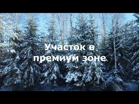 Видео: КП Шелково Форест, участок в премиум зоне V56