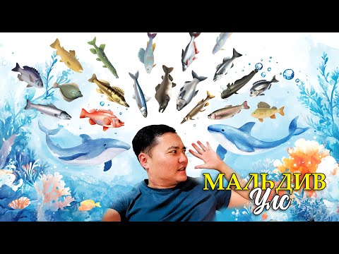 Видео: ЗАГАСНЫ ЭХ ОРНЫ АМЬДРАЛ ДУНД #munkhtselmeg #tselmegvlog #tselmeg vlog