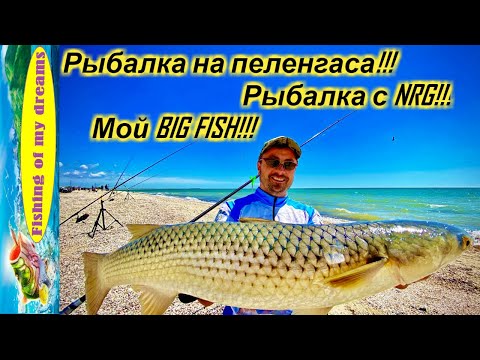 Видео: РЫБАЛКА НА ПЕЛЕНГАСА!!!NRG FISHING у нас в гостях!!!Убойные пелики!!!Мой BIG FISH!!!