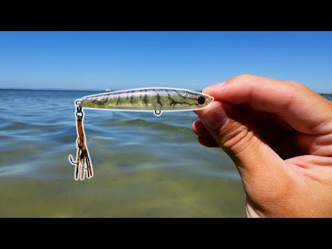 Видео: Эта приманка — всё, что мне было нужно, чтобы поймать рыбу! — Рыбалка в устье реки Манджера