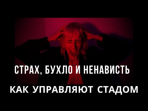 Видео: Страх, бухло и ненависть: как эгрегор управляет стадом