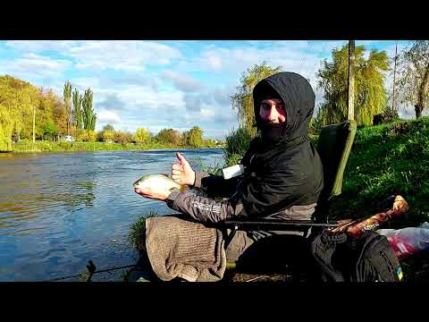 Видео: БУРШТИН. Фідер. Відкриття сезону. Плотва, Сом, Лящ. Карась.