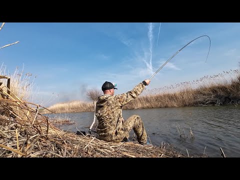 Видео: УДОЧКИ ВЗМАХ - РЫБА В РУКАХ! ВОТ ЭТО РЫБАЛКА! НА КАРАСЯ. Сало на крючок, будет толк?