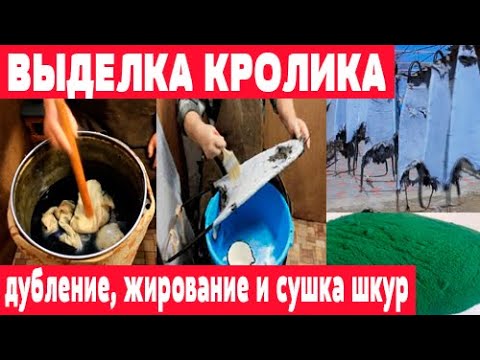 Видео: Дубление, жирование и сушка шкур  Выделка кролика  Часть 4