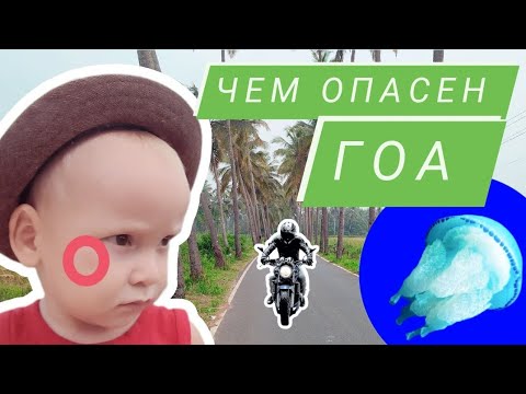 Видео: ТОП-5 главных опасностей индийского курорта Гоа