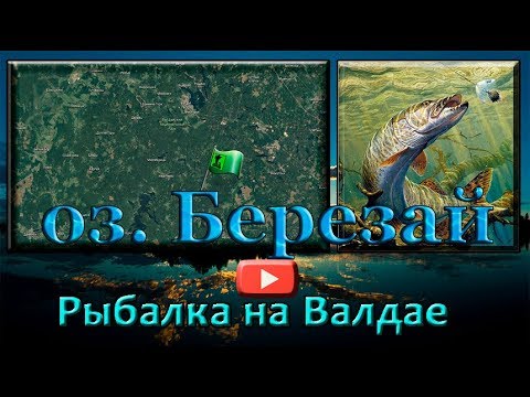 Видео: Рыбалка на Валдайских озерах. оз. Березай