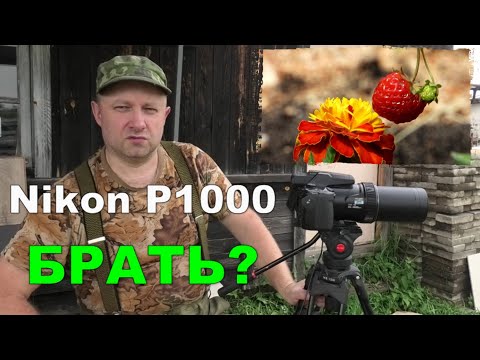 Видео: Nikon P1000. Брать или Нет?!