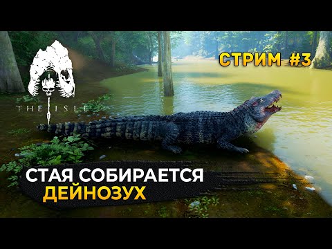 Видео: Стрим The Isle Evrima #3 - Сервер Megalodon Evrima. Стая Собирается: Дейнозух