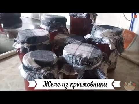 Видео: Желе из крыжовника