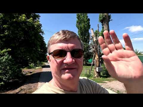 Видео: г Бутурлиновка, Воронежская обл , 2024г. Поселились Аисты.