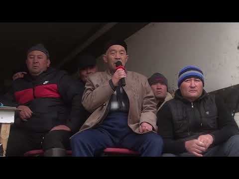 Видео: 29 01 2022 Шынадиевтер әулеті Пірәлі атамыздың 70 жас мерей тойына орай берілген көкпар тойы