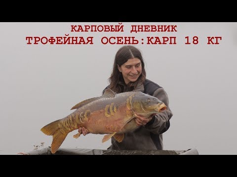 Видео: Секреты рыбалки на карпа: поймали карпа 18 кг. Карпфишинг осенью. Насадка, прикормка, оснастка.