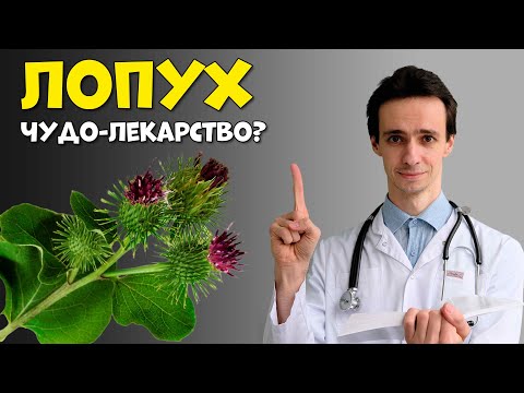 Видео: Лопух (репейник): народное средство от многих проблем. Рак, диабет, инфекции, ожирение, артроз...