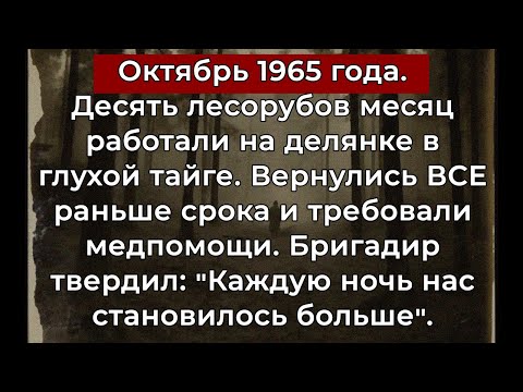 Видео: Бригада лесорубов вышла из тайги через месяц. Все ДЕСЯТЬ требовали положить их в психушку