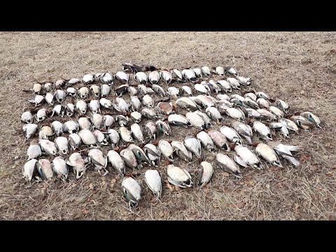 Видео: Весенняя Охота на уток в Якутии - 2020