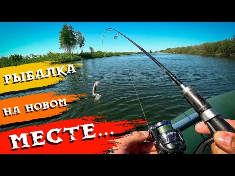 Видео: Приехал первый раз на новое для себя озеро и вот что из этого получилось... Рыбалка в Новосибирске.