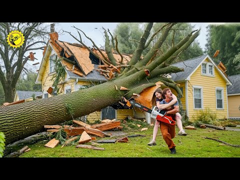 Видео: Идиоты с бензопилами: неудачная рубка деревьев и разрушение крыш #2