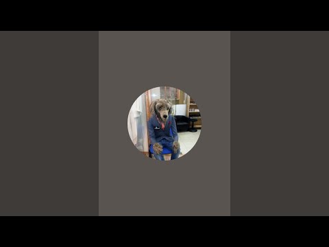Видео: Океан, как быть счастливым