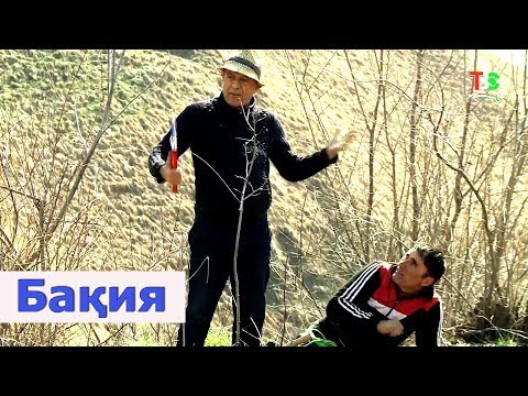 Видео: ТВС | Ғарибшо - Бақия | Garibsho