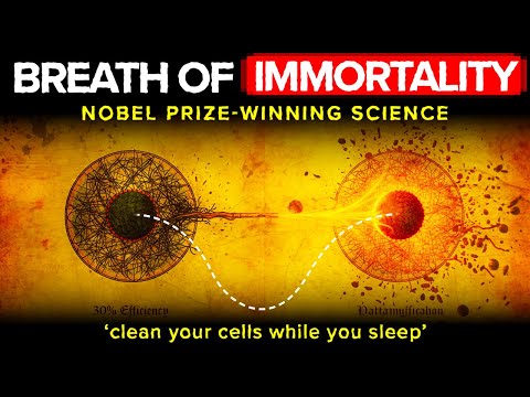 Видео: Научные исследования, удостоенные Нобелевской премии, помогут обратить вспять процесс старения во...