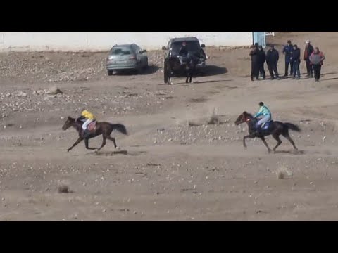 Видео: Жорго Салыш 23 02 2023
