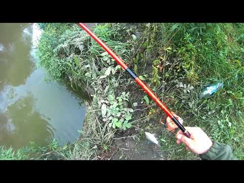 Видео: На реке с Херабуной.