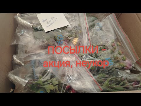 Видео: ПОСЫЛКИ - акция 💐