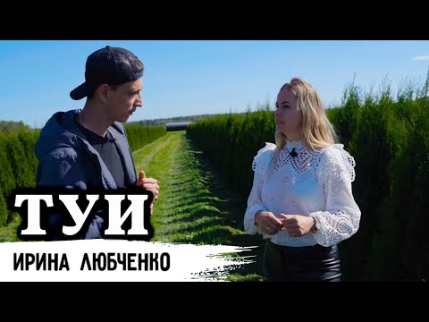 Видео: Питомник туй Ирины Любченко // 50млн рублей на туях