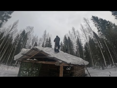 Видео: ПОЕХАЛИ С ЖЕНОЙ В ЛЕСНУЮ ИЗБУ