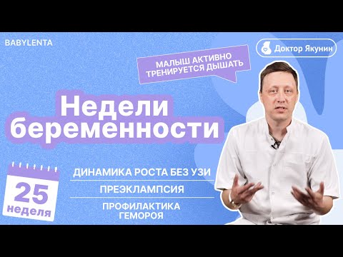 Видео: 25 неделя беременности как выглядит ребенок, что происходит, УЗИ, шевеления, преэклампсия, геморрой