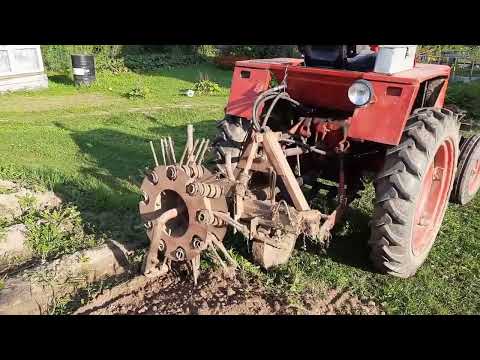 Видео: Картофелекопалка КТН-1Б (Копаем картофель)