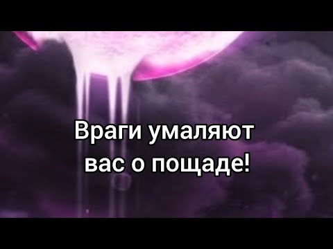 Видео: 🔮Жесть❗️🤯Враги умаляют о пощаде❗️👁#враги#соперники#врагвауте