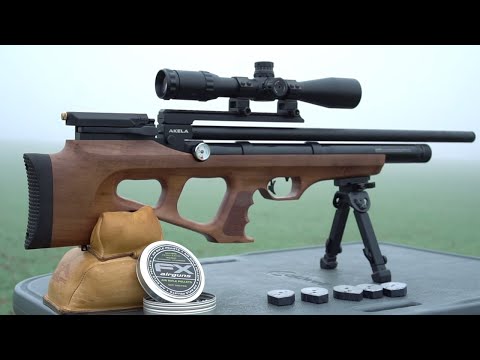 Видео: Бенджамин Акела \\ Пневматическая охотничья винтовка с PCP-приводом