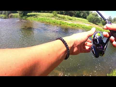 Видео: Риболов на кленове в рамките на 2 дни! Рибите бяха озверели...