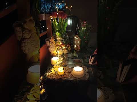 Видео: Мужчина кричит Вам с ним такого никогда не было