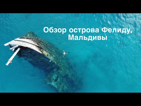 Видео: Мальдивы декабрь 2023 обзор /остров Фелиду/ Felidhoo  / отель vaali beach resort