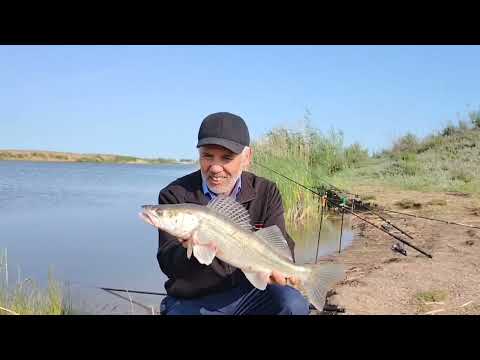 Видео: Рыбалка на реке Нура Дубль 3